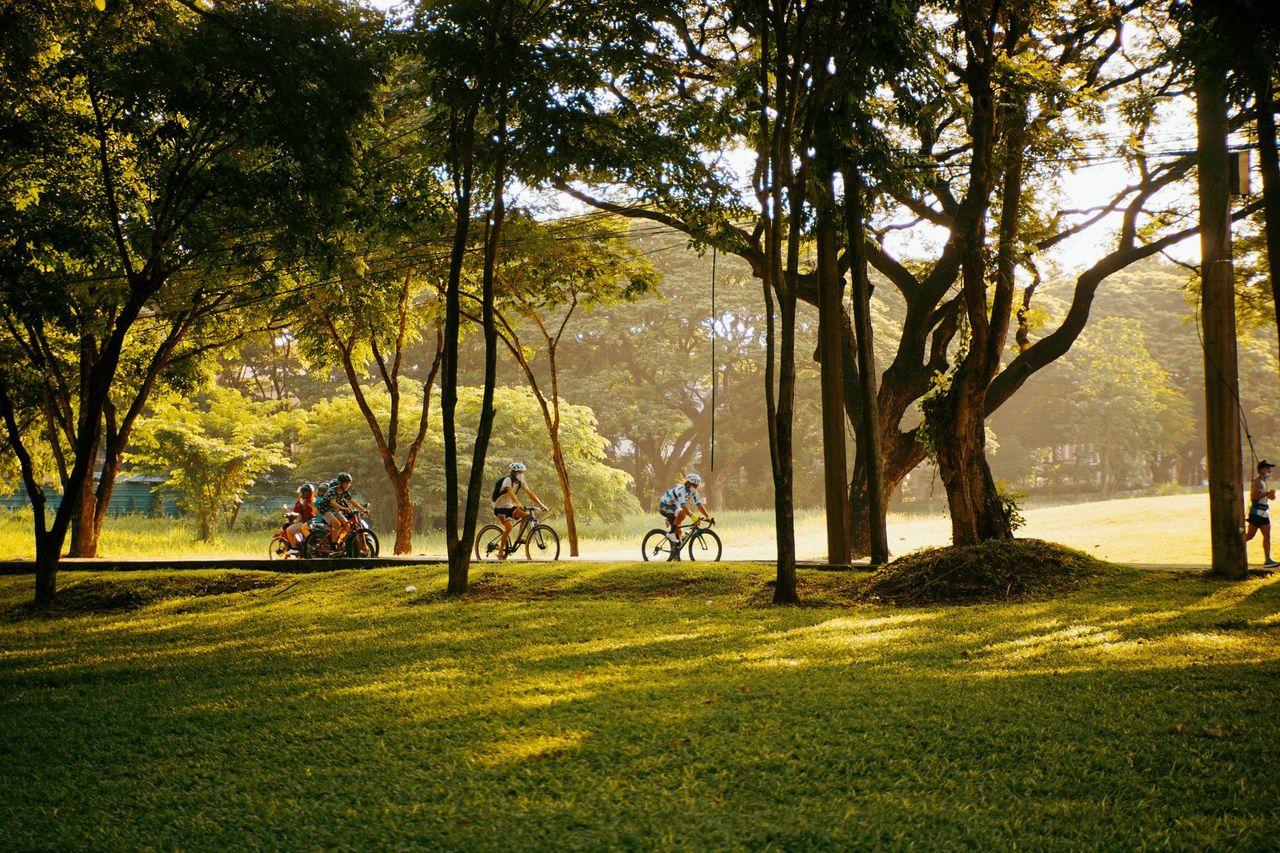 Family cycling in park at sunset