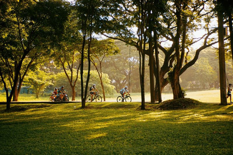 Family cycling in park at sunset