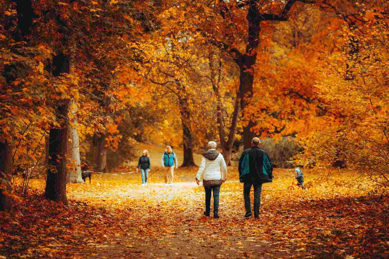 October Half Term Trips Without Flying: Six UK and US Ideas That Work for Kids Under Ten hero