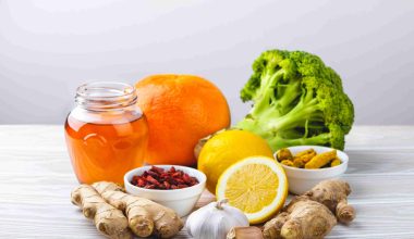 Fermented Foods 101: Easy Wins for Gut Health at Home