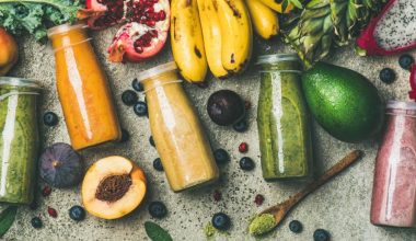 High-Protein Meals for Moms Who Are Always Tired