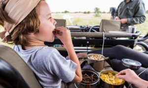 Snacks That Actually Survive a Long Travel Day with Kids