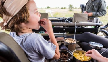 Snacks That Actually Survive a Long Travel Day with Kids