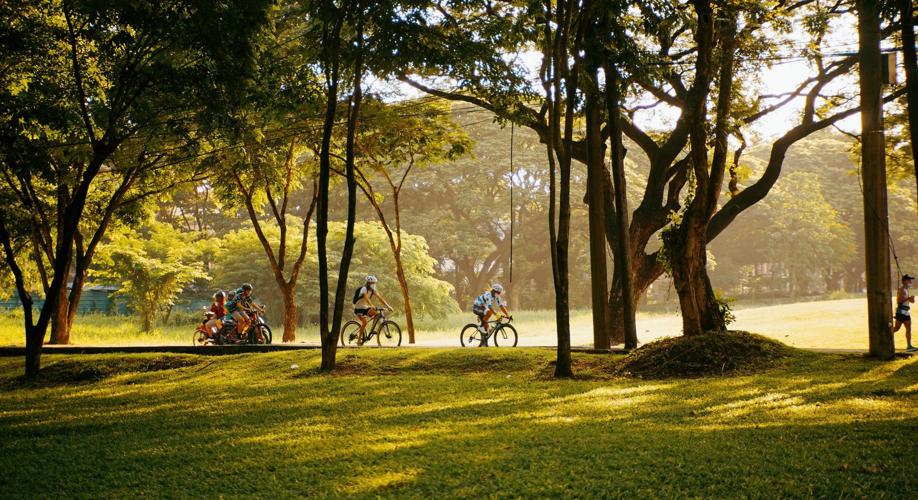 Family cycling in park at sunset