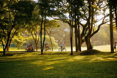 Family cycling in park at sunset